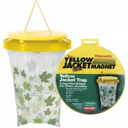 trappola-vespe-usa-getta